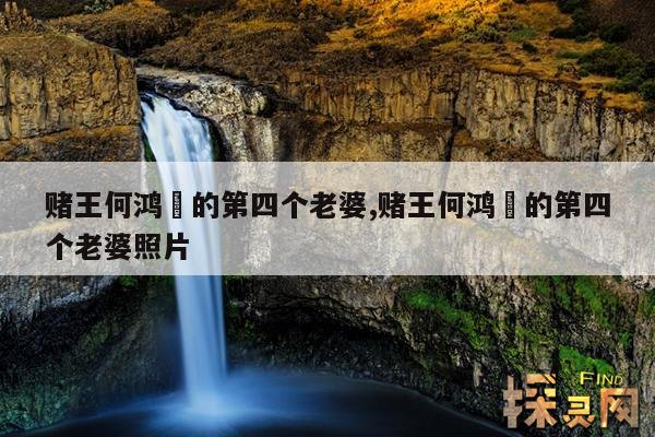 赌王何鸿燊的第四个老婆,赌王何鸿燊的第四个老婆照片