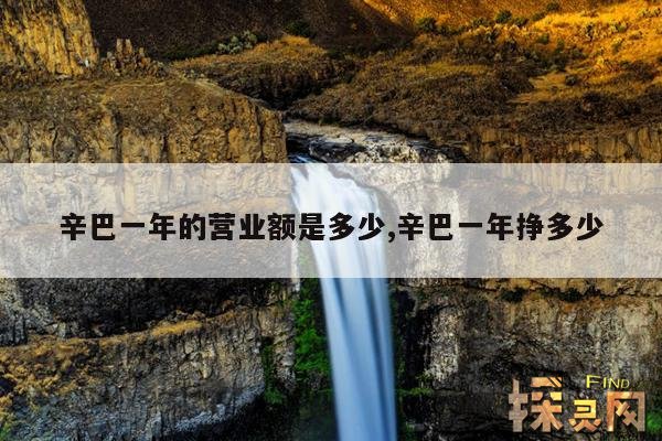 辛巴一年的营业额是多少,辛巴一年挣多少