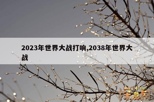 2023年世界大战打响,2038年世界大战