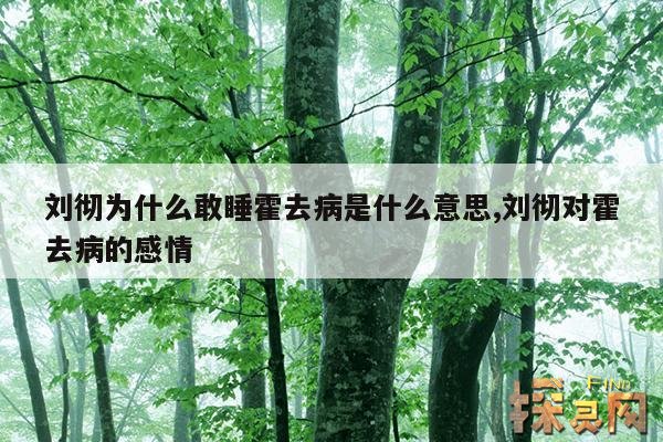 刘彻为什么敢睡霍去病是什么意思,刘彻一生最爱的女人