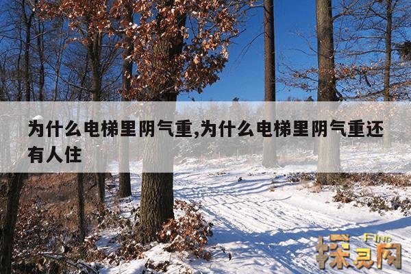 为什么电梯里阴气重,为什么电梯里阴气重还有人住