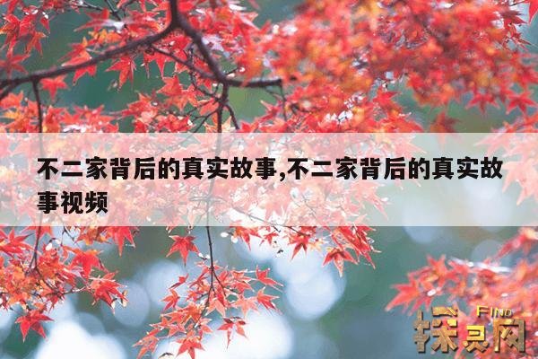 不二家背后的真实故事,不二家背后的真实故事视频