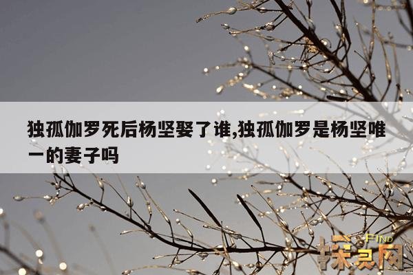 独孤伽罗死后杨坚娶了谁,独孤伽罗是杨坚唯一的妻子吗