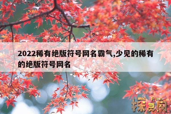 2022稀有绝版符号网名霸气,少见的稀有的绝版符号网名