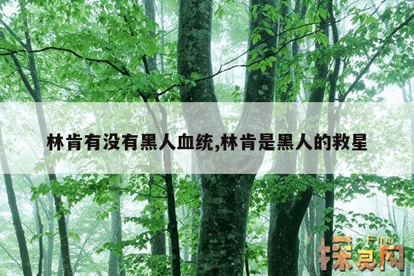 林肯有没有黑人血统,林肯是黑人的救星