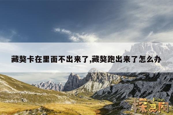 藏獒卡在里面不出来了,藏獒跑出来了怎么办