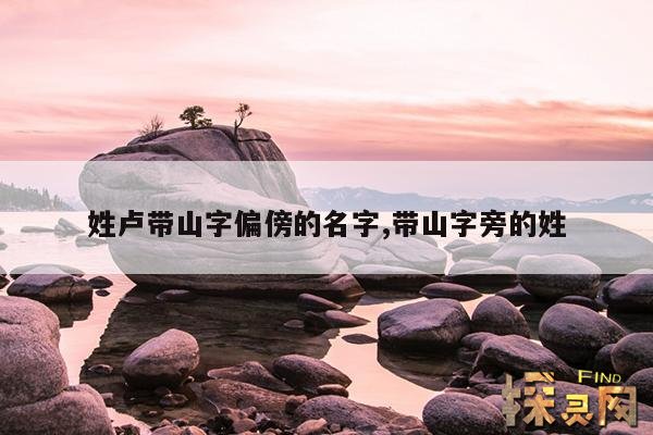 姓卢带山字偏傍的名字,带山字旁的姓