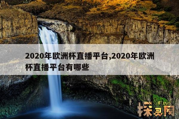 2020年欧洲杯直播平台,2020年欧洲杯直播平台有哪些