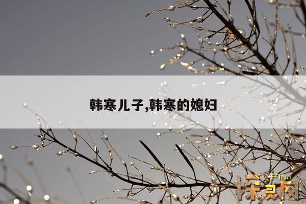韩寒儿子,韩寒的媳妇