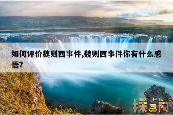 如何评价魏则西事件,魏则西事件你有什么感悟?