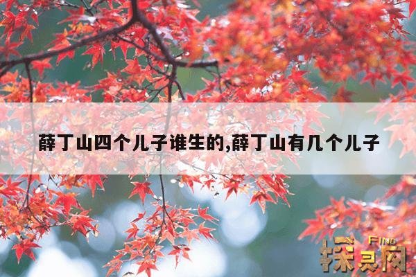 薛丁山四个儿子谁生的,薛丁山有几个儿子