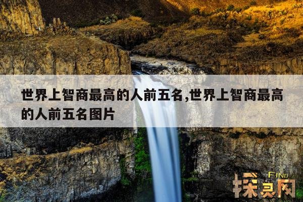 世界上智商最高的人前五名,世界上智商最高的人前五名图片