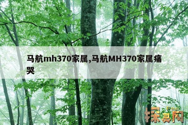 马航mh370家属,马航MH370家属痛哭