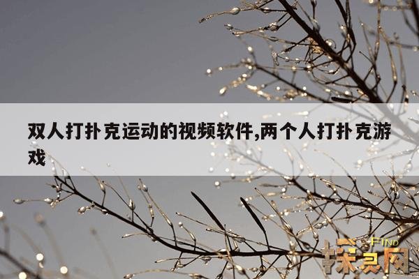 双人打扑克运动的视频软件,两个人打扑克游戏
