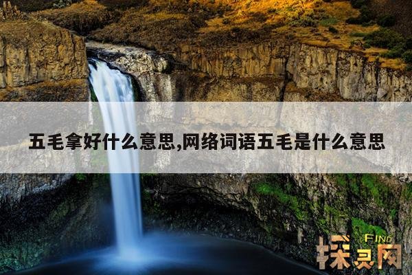 五毛拿好什么意思,网络词语五毛是什么意思