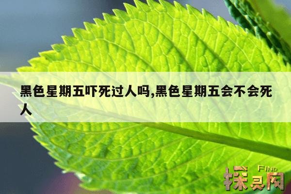 黑色星期五吓死过人吗,黑色星期五会不会死人