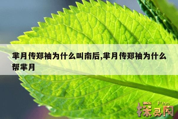 芈月传郑袖为什么叫南后,芈月传郑袖为什么帮芈月