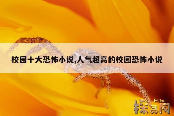 校园十大恐怖小说,人气超高的校园恐怖小说