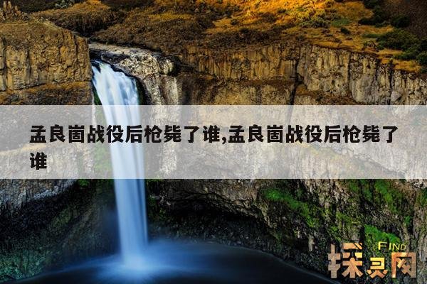 孟良崮战役后枪毙了谁,孟良崮战役后枪毙了谁