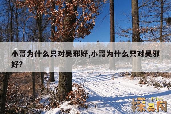 小哥为什么只对吴邪好,小哥为什么只对吴邪好?