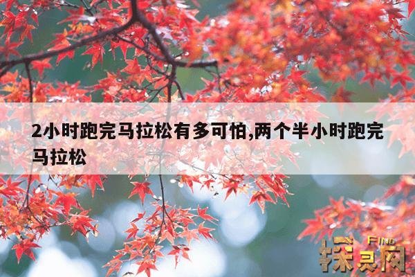 2小时跑完马拉松有多可怕,马拉松跑两小时需要什么样的配速