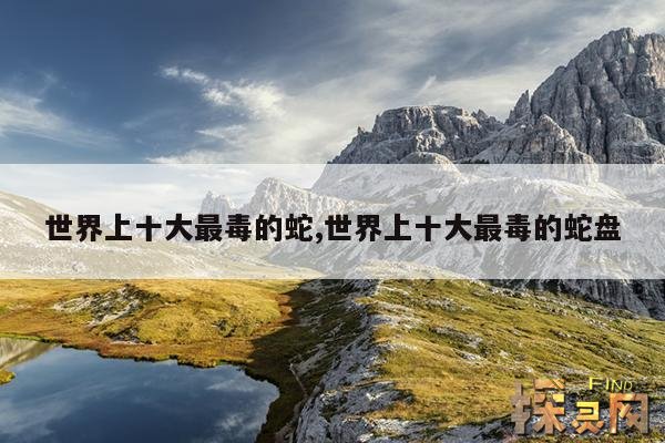 世界上十大最毒的蛇,世界上十大最毒的蛇盘