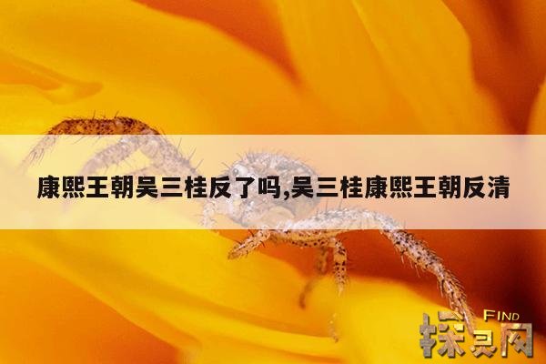 康熙王朝吴三桂反了吗,吴三桂康熙王朝反清