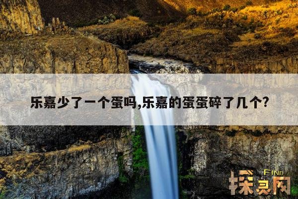 乐嘉少了一个蛋吗,乐嘉的蛋蛋碎了几个?