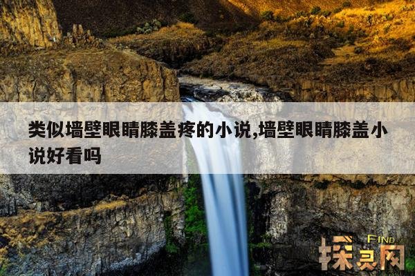 类似墙壁眼睛膝盖疼的小说,墙壁眼睛膝盖小说好看吗