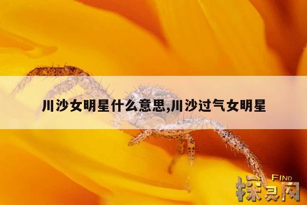 川沙女明星什么意思,川沙过气女明星