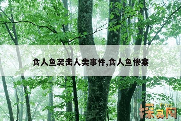 食人鱼袭击人类事件,食人鱼惨案