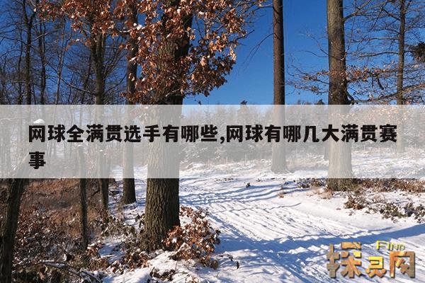 网球全满贯选手有哪些,网球有哪几大满贯赛事