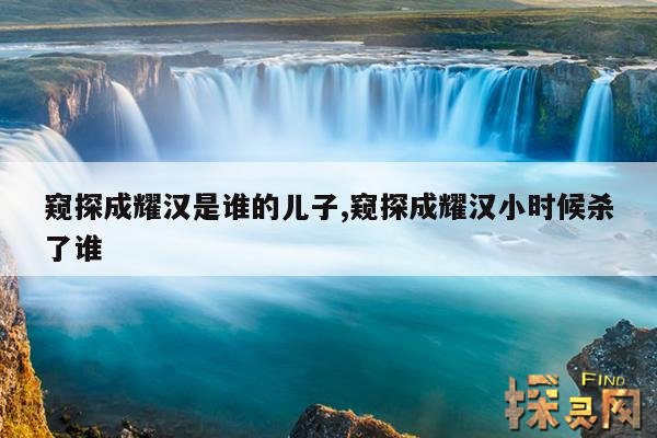 窥探成耀汉是谁的儿子,窥探成耀汉小时候杀了谁