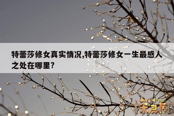 特蕾莎修女真实情况,特蕾莎修女一生最感人之处在哪里?