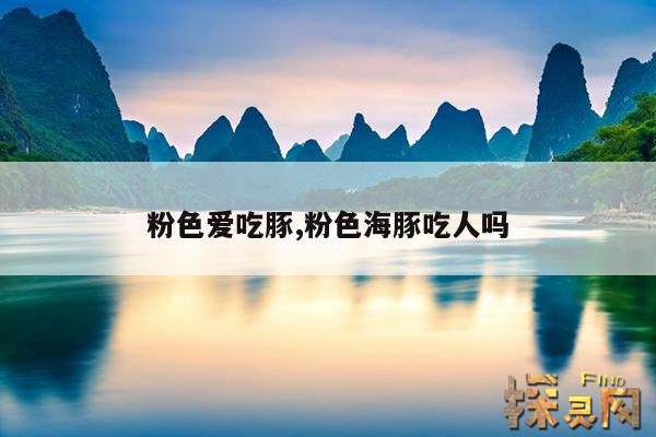 粉色爱吃豚,粉色海豚吃人吗