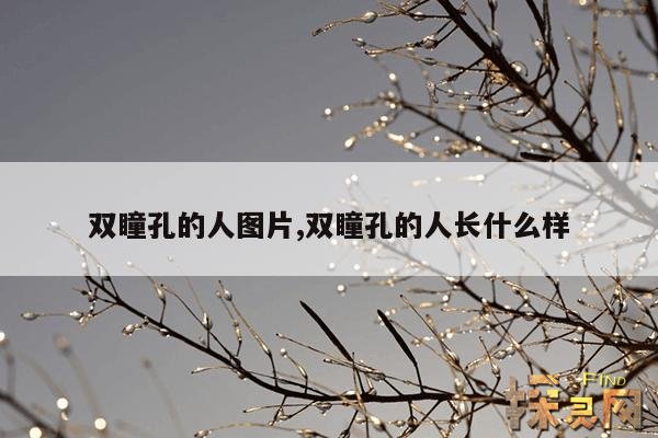 双瞳孔的人图片,双瞳孔的人长什么样
