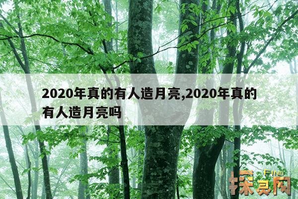 2020年真的有人造月亮,2020年真的有人造月亮吗