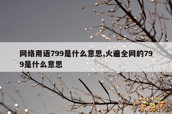 网络用语799是什么意思,火遍全网的799是什么意思