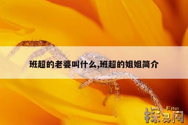 班超的老婆叫什么,班超的姐姐简介