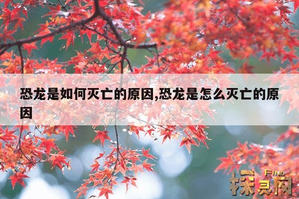 恐龙是如何灭亡的原因,恐龙是怎么灭亡的原因