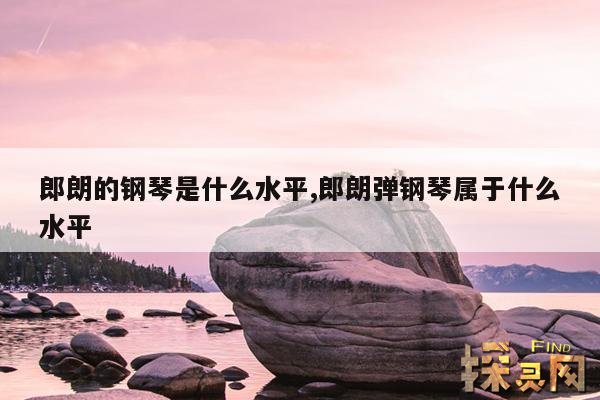 郎朗的钢琴是什么水平,郎朗弹钢琴属于什么水平