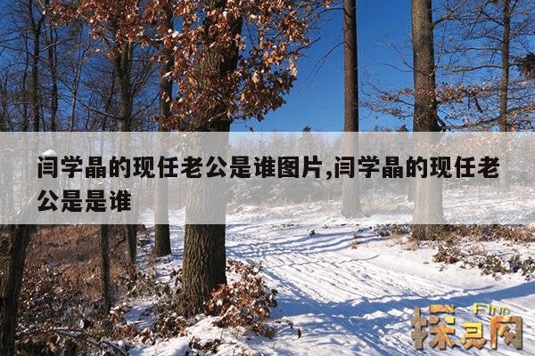 闫学晶的现任老公是谁图片,闫学晶的现任老公是是谁