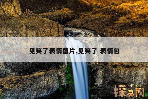 见笑了表情图片,见笑了 表情包