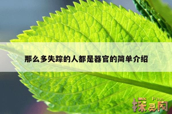 那么多失踪的人都是器官的简单介绍,失踪的人都去哪了