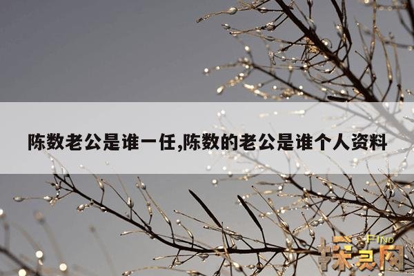 陈数老公是谁一任,陈数的老公是谁个人资料