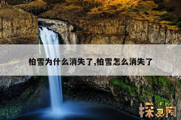 柏雪为什么消失了,柏雪怎么消失了