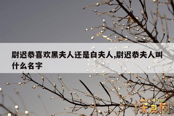 尉迟恭喜欢黑夫人还是白夫人,尉迟恭夫人叫什么名字