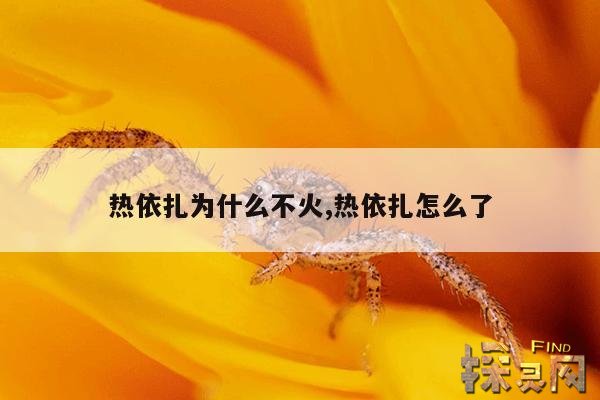 热依扎为什么不火,热依扎怎么了