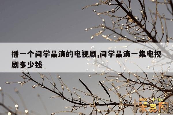 播一个闫学晶演的电视剧,闫学晶演一集电视剧多少钱