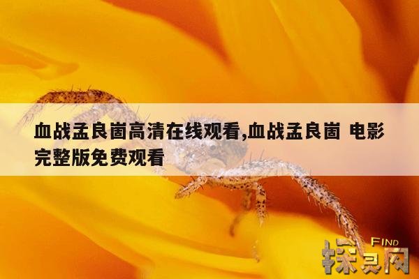 血战孟良崮高清在线观看,血战孟良崮 电影完整版免费观看